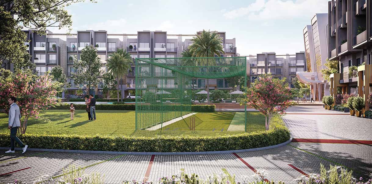 smartworld-orchard-cricket