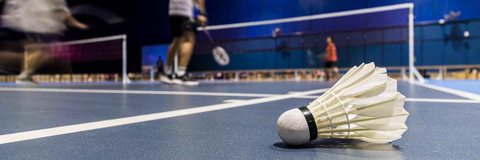 smartworld-the-edition-badminton